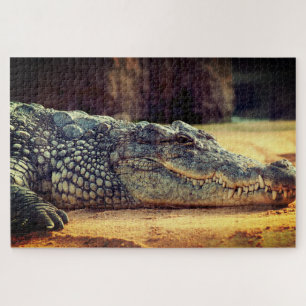 Alligator Legpuzzel