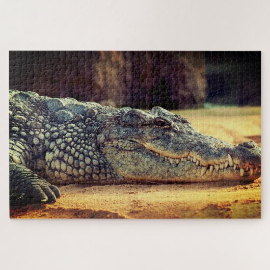Alligator Legpuzzel (Horizontaal)