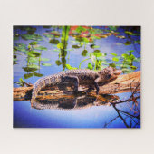 Alligator Legpuzzel (Horizontaal)