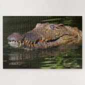 Alligator Legpuzzel (Horizontaal)