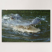 Alligator Legpuzzel (Horizontaal)