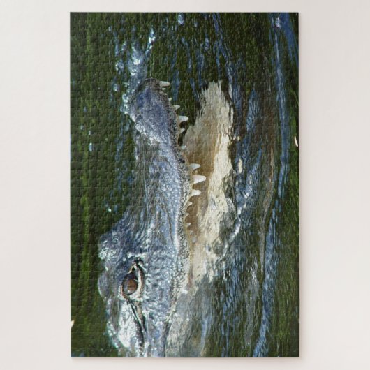 Alligator Legpuzzel (Verticaal)