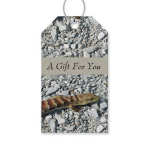 Alligator Lizard Gift Labels