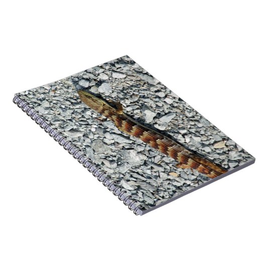 Alligator Lizard notebook Notitieboek (Rechterzijde)