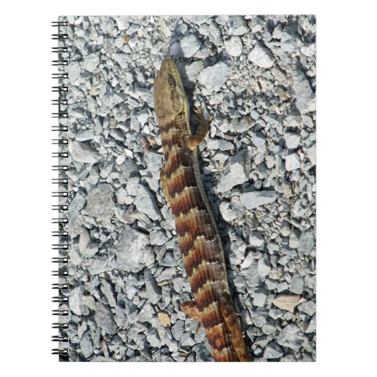 Alligator Lizard notebook Notitieboek (Voorkant)