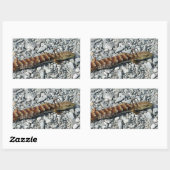 Alligator Lizard Stickers (Vel)