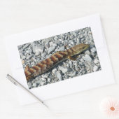 Alligator Lizard Stickers (Envelop)