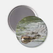 Alligator Magneet (Voorkant / Achterkant)