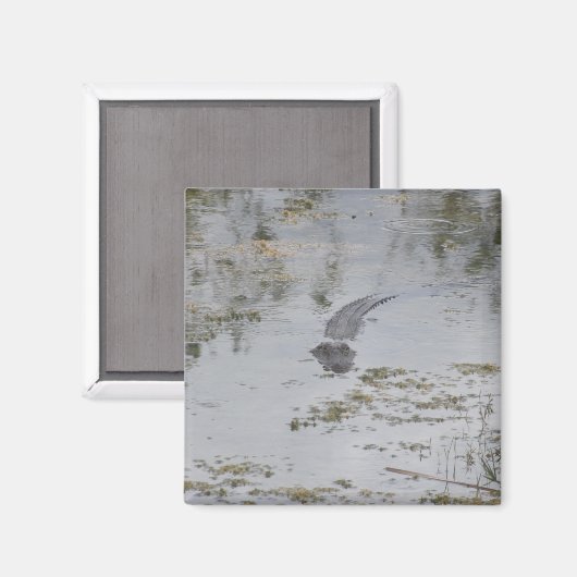 Alligator Magnet (Voorkant / Achterkant)