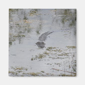 Alligator Magnet (Voorkant)