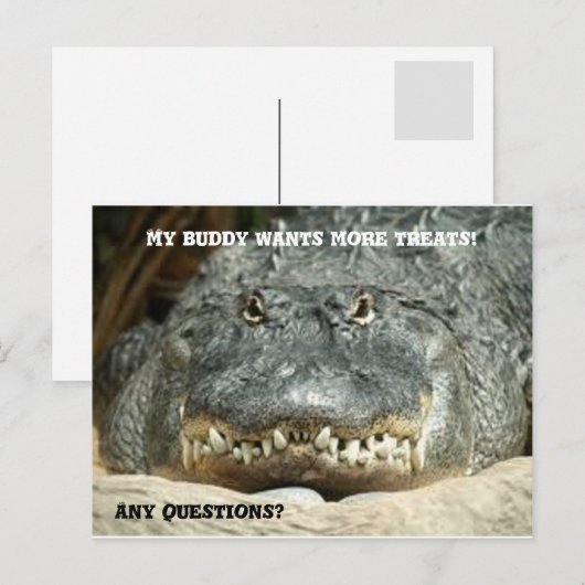 Alligator Meer behandelingen Briefkaart (Voorkant / Achterkant)