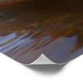 Alligator Mississipiensis Poster (Hoek)