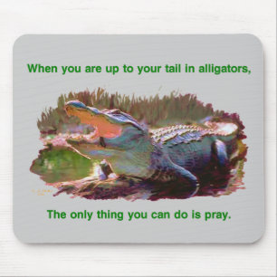 alligator mousepad muismat