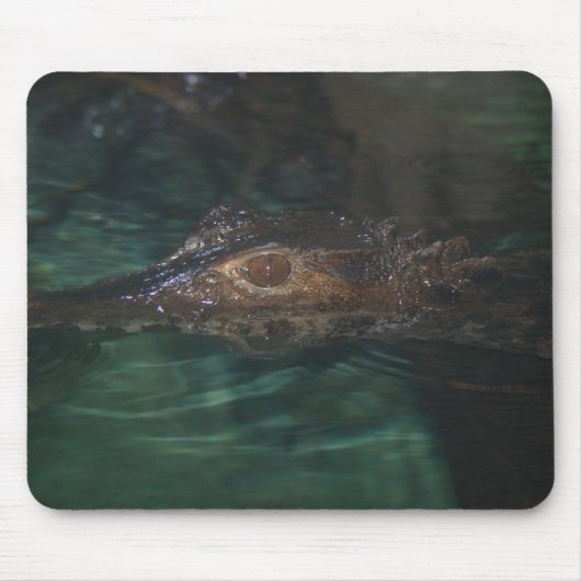 Alligator Mousepad Muismat (Voorkant)