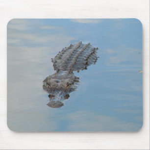 alligator muismat