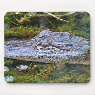 Alligator Muismat