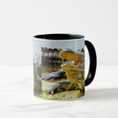 Alligator. Naar het gezicht. Mok (Voorkant rechts)