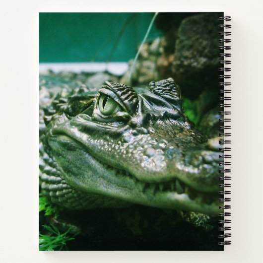 Alligator Notitieboek (Achterkant)