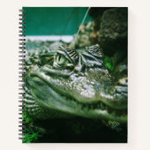 Alligator Notitieboek (Voorkant)