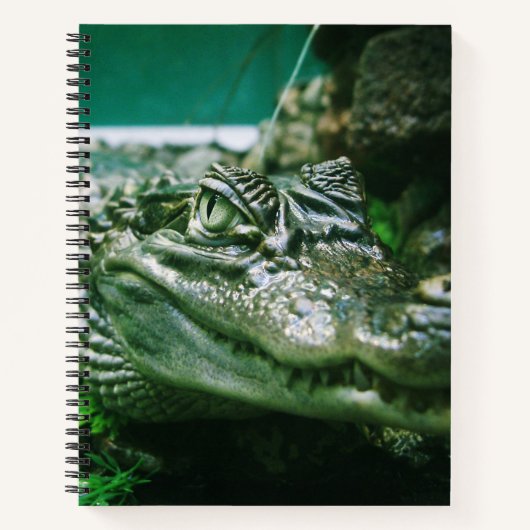 Alligator Notitieboek (Voorkant)
