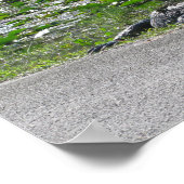 Alligator op Alligator Alley, Fl Poster (Hoek)