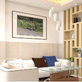 Alligator op Alligator Alley, Fl Poster