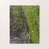 Alligator op foto van Florida Wetlands Legpuzzel (Verticaal)
