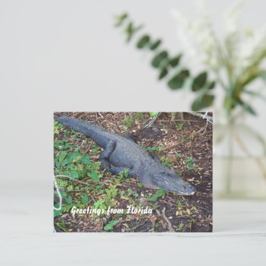 alligator op het land briefkaart (Staand voorkant)