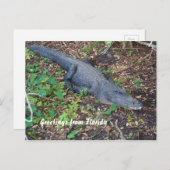 alligator op het land briefkaart (Voorkant / Achterkant)