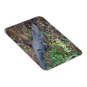 alligator op het land magneet (Rechterzijde)