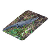 alligator op het land magneet (Linkerzijde)