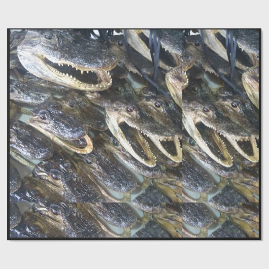 Alligator-opvulpapier Cadeaupapier (Vlak)