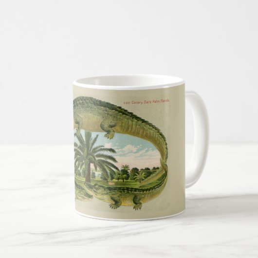  Alligator Palm Mok (Voorkant rechts)