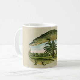  Alligator Palm Mok