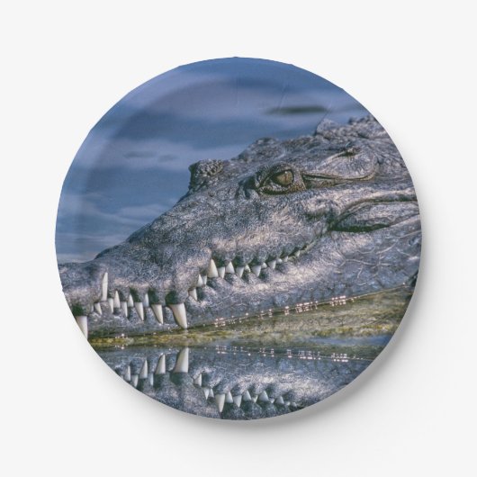Alligator Papieren Bordje (Voorkant)
