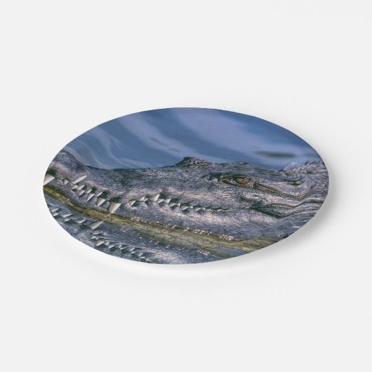 Alligator Papieren Bordje (Gekanteld)