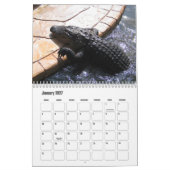 Alligator Park in Orlando Wall Calendar Kalender (Jan 2027)