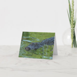 Alligator Photo Folded Note Kaart