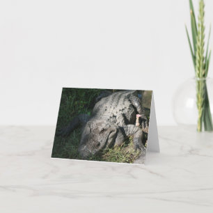 Alligator Photo Folded Note Kaart