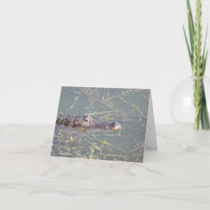 Alligator Photo Folded Note Kaart