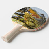 Alligator portret. Alligators van Florida Tafeltennisbatje (Voorkant Gekanteld)
