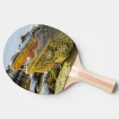 Alligator portret. Alligators van Florida Tafeltennisbatje (Zijkant)