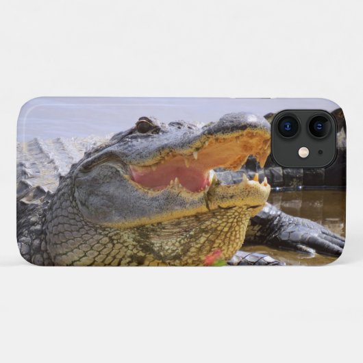 Alligator portret closeup Case-Mate iPhone case (Achterkant (horizontaal))