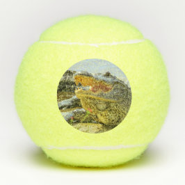 Alligator portret. Naar het gezicht. Tennisballen