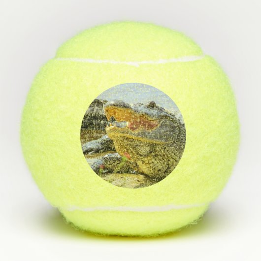 Alligator portret. Naar het gezicht. Tennisballen (Voorkant)