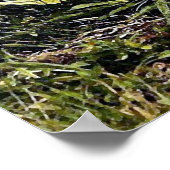 Alligator Portret Poster afdrukken (Hoek)