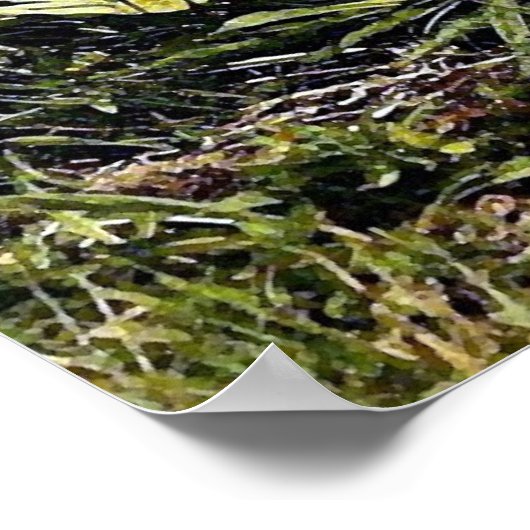 Alligator Portret Poster afdrukken (Hoek)