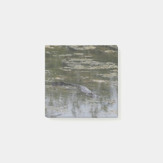 Alligator Post merkt op Post-it® Notes (Voorkant)