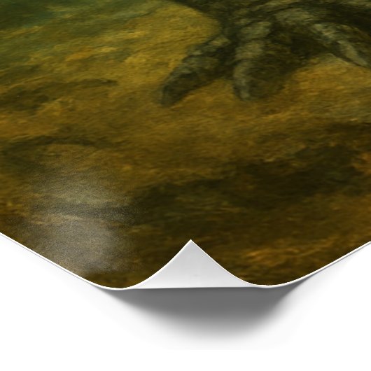 Alligator Poster (Hoek)