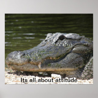 ALLIGATOR POSTER